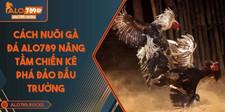 Cách Nuôi Gà Đá ALO789 Nâng Tầm Chiến Kê Phá Đảo Đấu Trường
