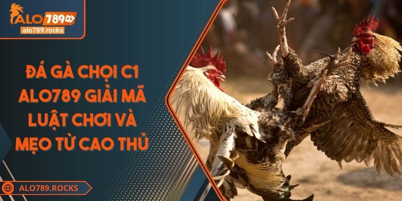 Đá Gà Chọi C1 ALO789 Giải Mã Luật Chơi Và Mẹo Từ Cao Thủ 2 Đá Gà Chọi C1 ALO789 Giải Mã Luật Chơi Và Mẹo Từ Cao Thủ