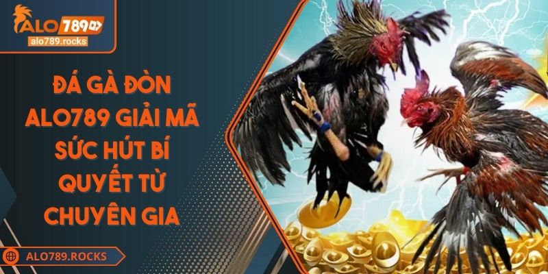 Đá Gà Đòn ALO789 Giải Mã Sức Hút Bí Quyết Từ Chuyên Gia 3 Đá Gà Đòn ALO789 Giải Mã Sức Hút Bí Quyết Từ Chuyên Gia