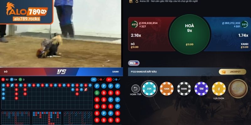 Đá Gà Trực Tiếp ALO789 Hấp Dẫn Với Các Trận Đấu Đầy Thú Vị 3 Phân tích kỹ lưỡng trước khi đặt cược đá gà trực tiếp ALO789