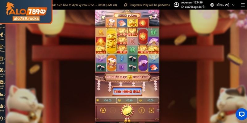 Bí quyết tăng cơ hội thắng trong Lucky Neko ALO789