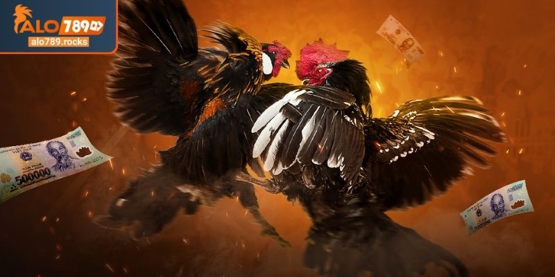 Những Lý Do Nên Chơi Đá Gà Ở ALO789 Thế Giới Cược Đỉnh Cao 1 Tổng quan những lý do nên chơi đá gà ở ALO789